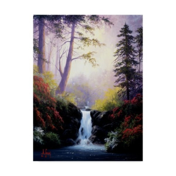Trademark Fine Art Anthony Casay 'Forest Scene' Canvas Art, 14x19 ALI20335-C1419GG